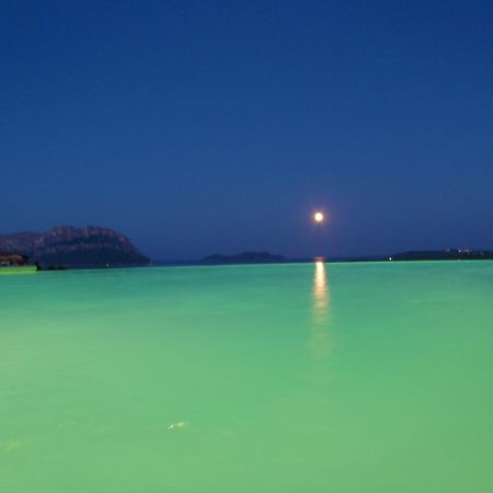 Villa And Pool Tavolara View Porto Istana Екстериор снимка